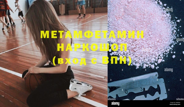 шишки Губаха