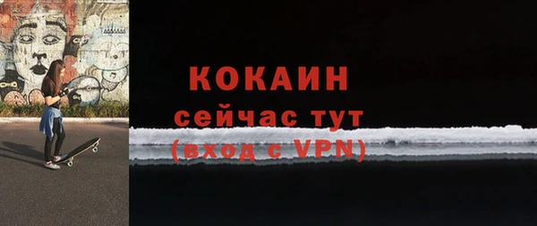 шишки Губаха