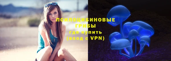 МДПВ Грязовец