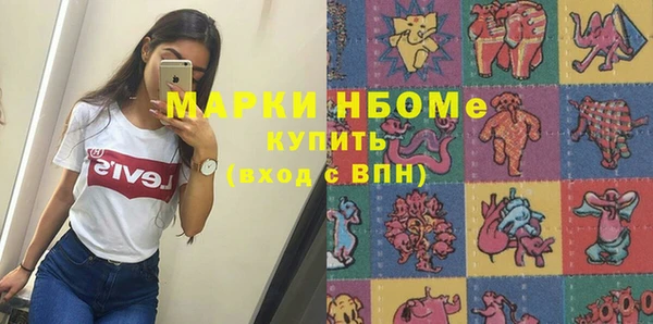 шишки Губаха