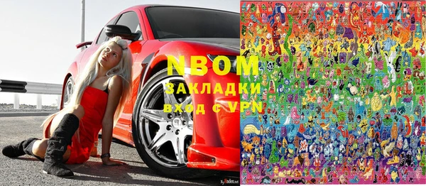 шишки Губаха