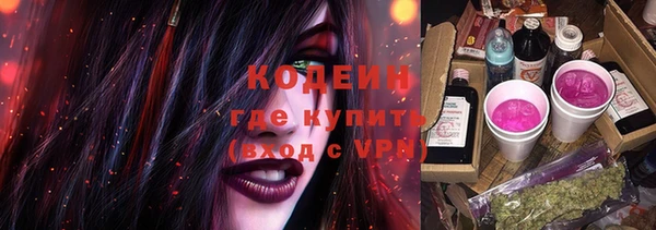 шишки Губаха
