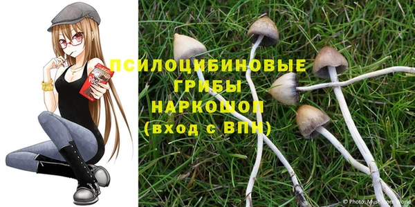МДПВ Грязовец