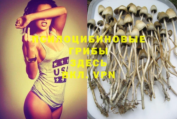 шишки Губаха