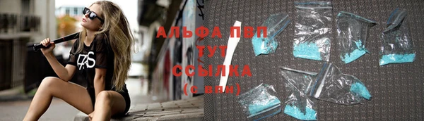 шишки Губаха