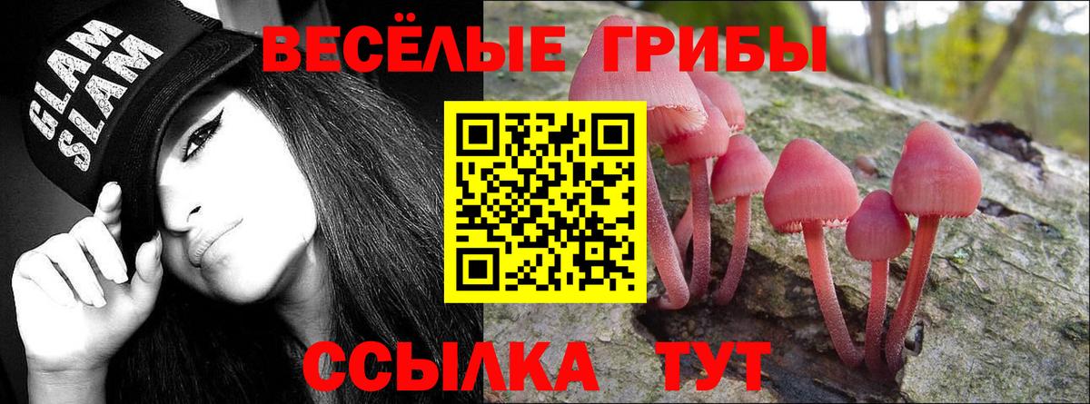Клинцы  Галлюциногенные грибы мицелий  Вход с VPN 