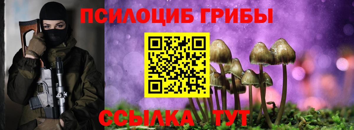 Псилоцибиновые грибы мицелий Клинцы