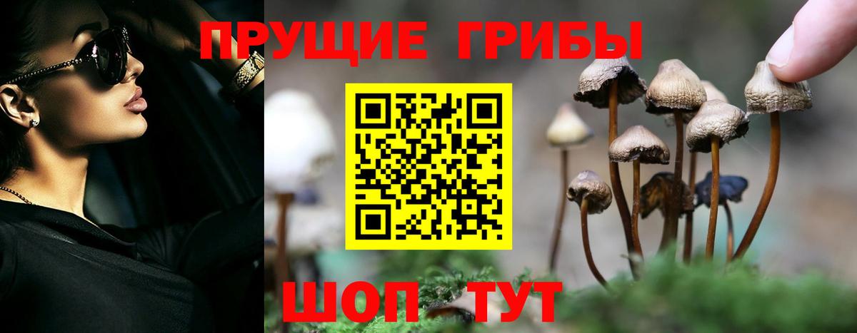 Галлюциногенные грибы мицелий  Клинцы 